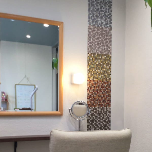 Papillon hair Place