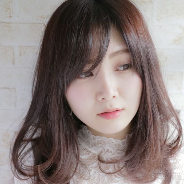 Papillon hair Place