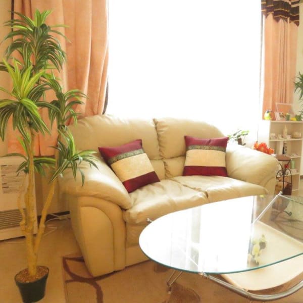 エンジェルスパーム