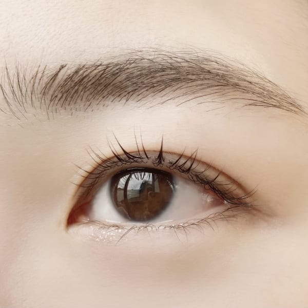 APIS eye