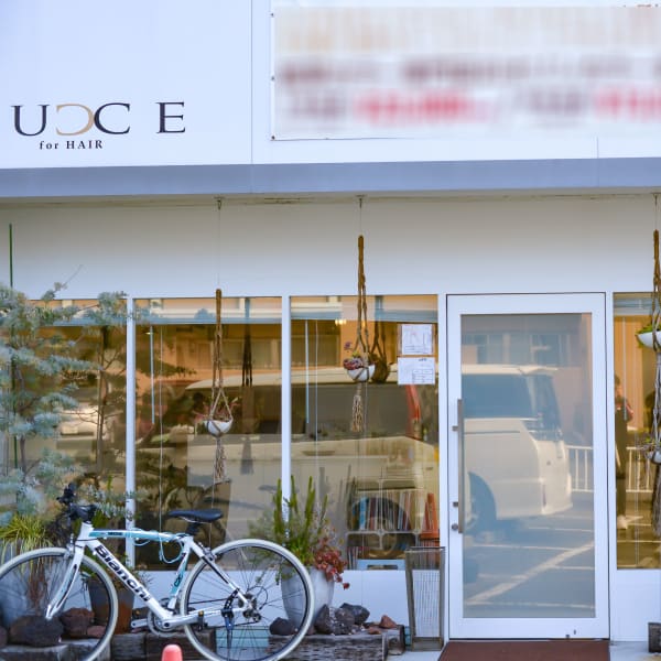 LUCE
