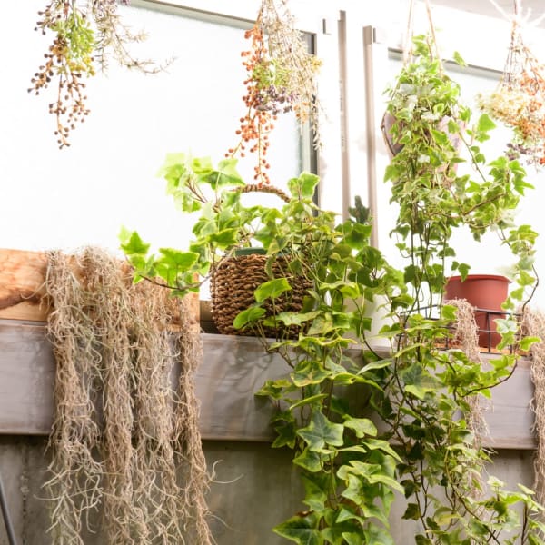 LODAT 横浜 by little