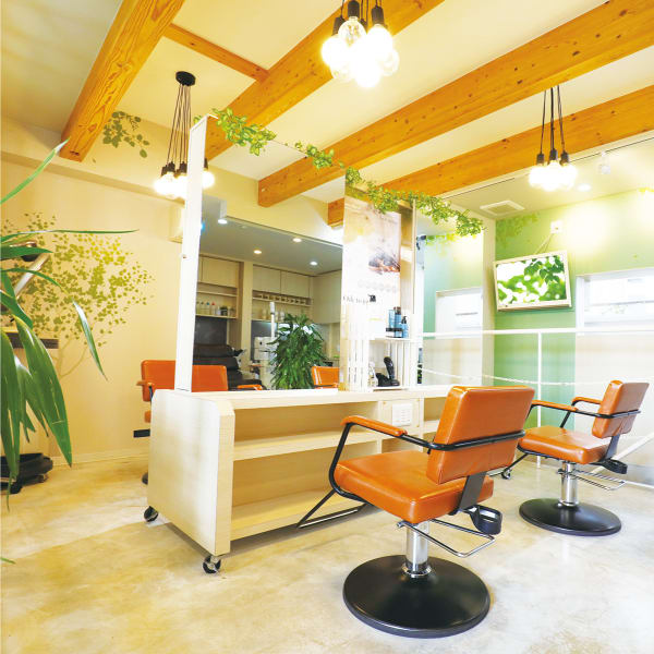 hair detail motoyama forest