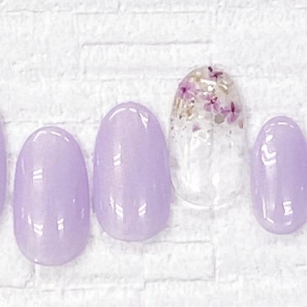 Ｈ1011　一番人気定額コース