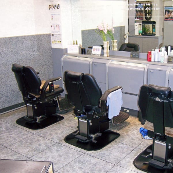 バーバーヤナギ