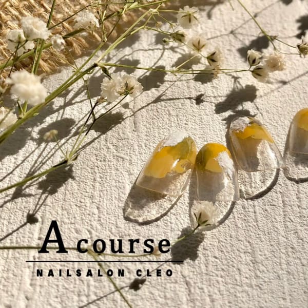 【定額】Ａコース　～プチアート～