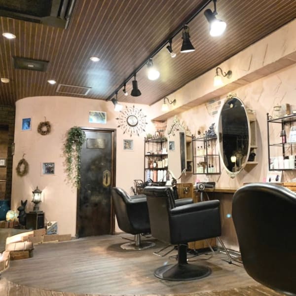 Hair Design Popolarita