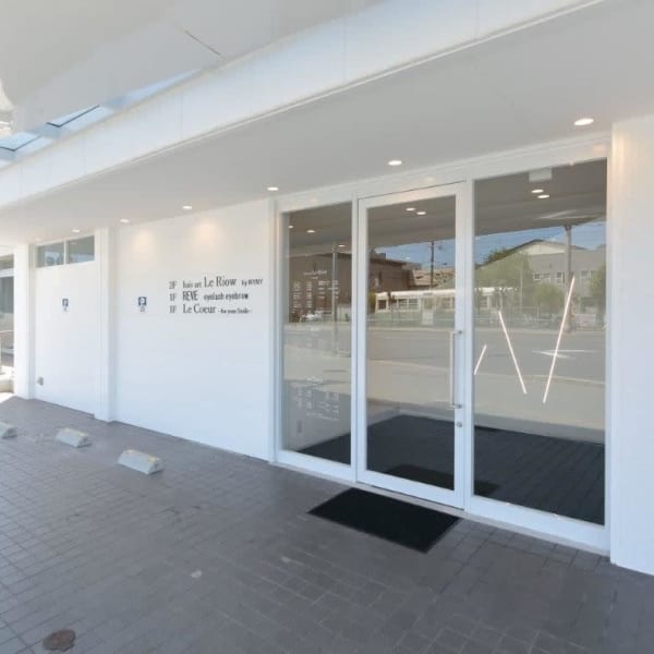 hair art Le Riow byNYNY