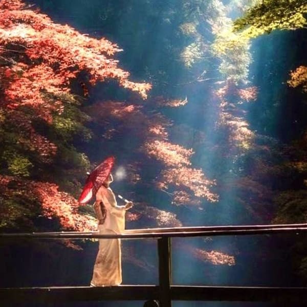 浅草 美容院 髪質改善 完全個室内完結型サロン cocolo salon HANARE