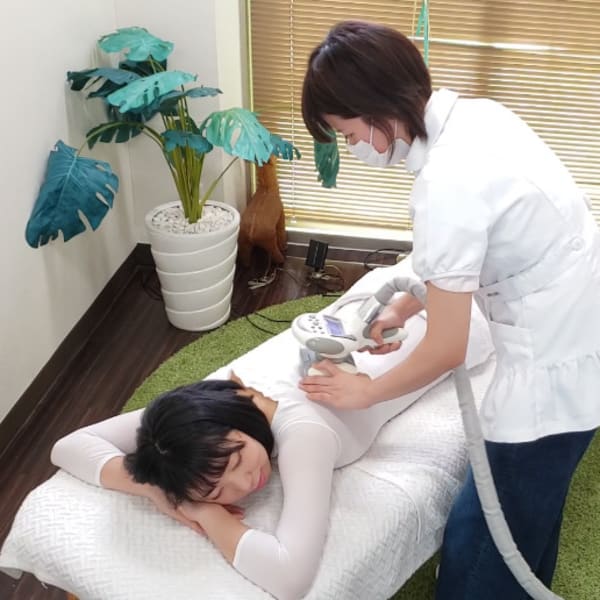 エンダモロジー専門店HERBS