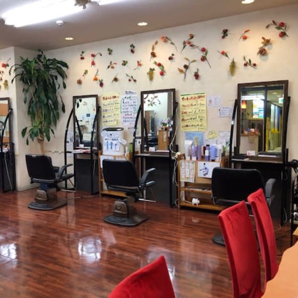 HAIR ESTHESALON AONO