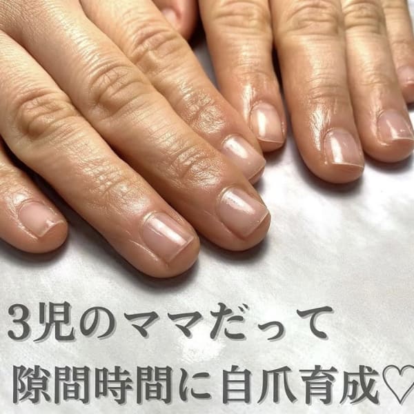 自爪育成コース