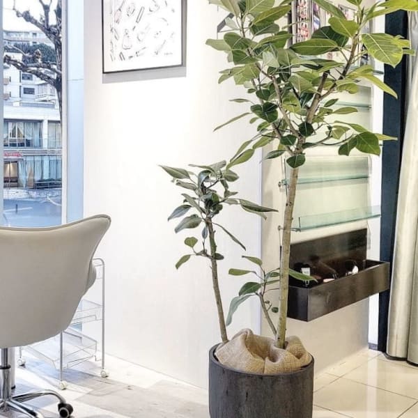 HAIR & MAKE EARTH 星ヶ丘店