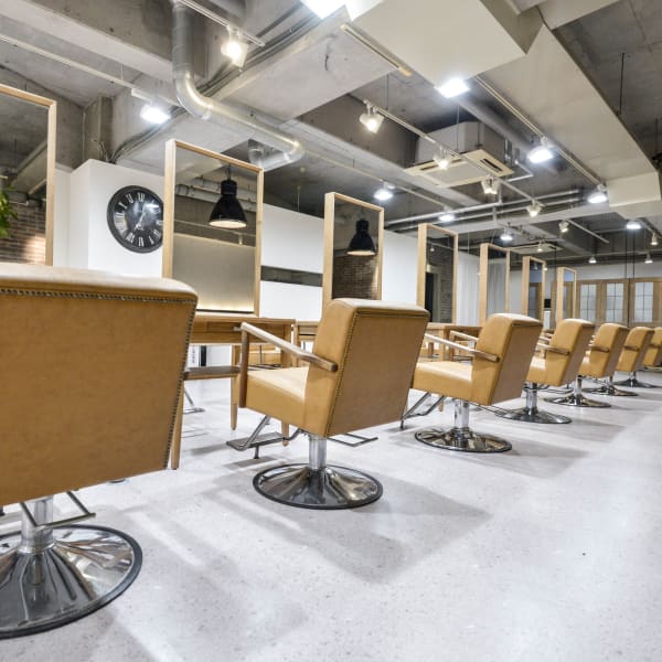 Lolonois 野田阪神