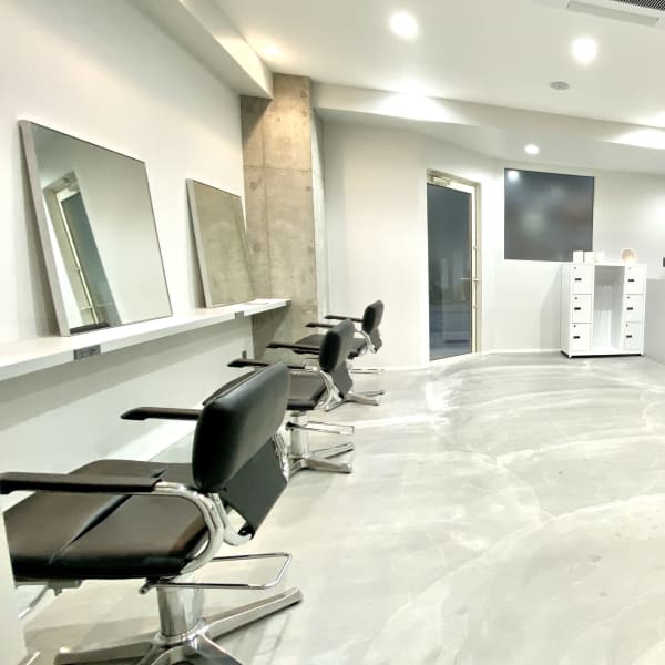 canvas anew. Kawasaki