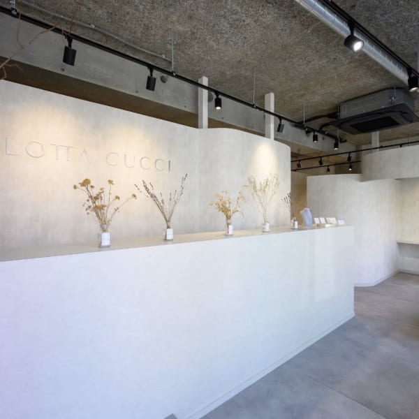 LOTTA CUCCI