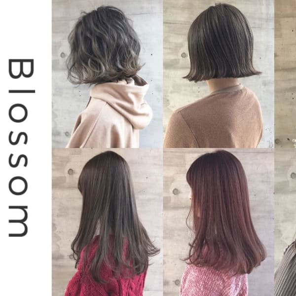 ブロッサム保谷店