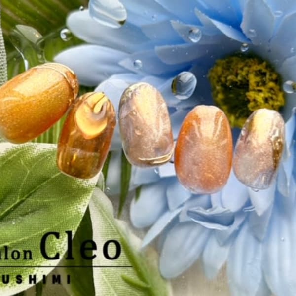 【定額】季節限定コース☆ゴージャス/ミラー/アート/パーツ