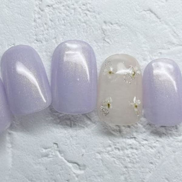 H1255 一番人気定額コース