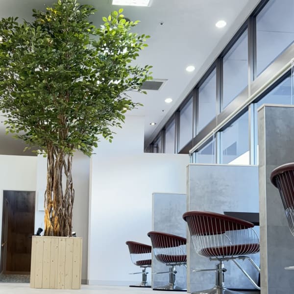 Ingrove 木更津店