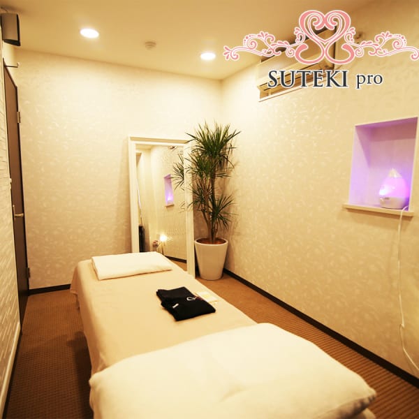 本格骨格美容整体&温感深層リンパケア SUTEKIpro新宿