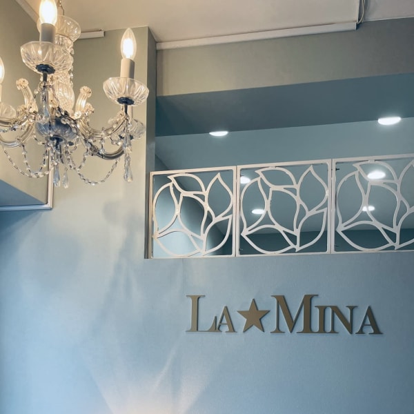 シュガーリング ＆ブラジリアンワックス脱毛LaMina銀座