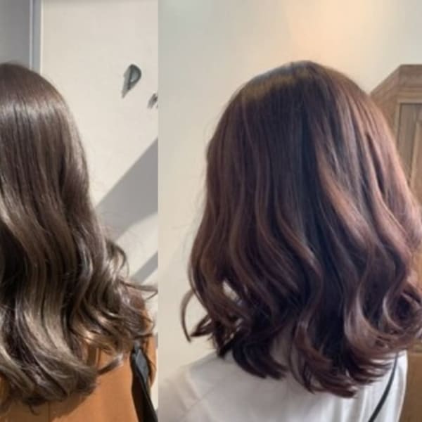 hair and spa palm