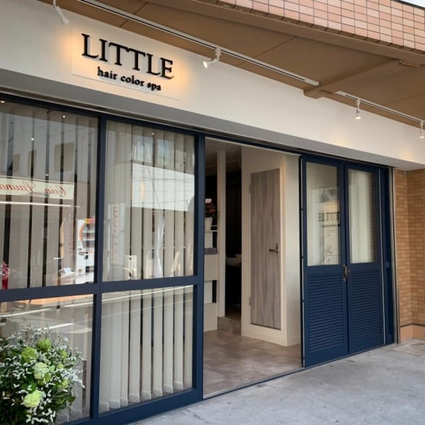 LITTLE hair color spa