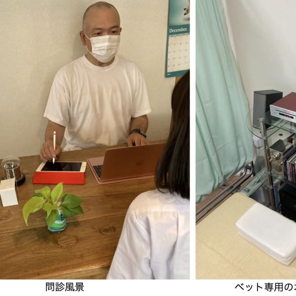 ボディワーク研究所 西新宿