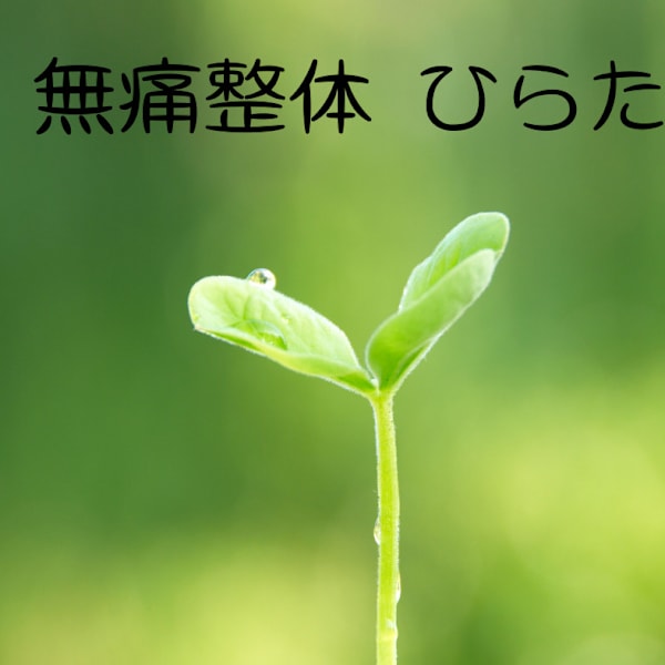 ひらた整体院 オイルトリートメント