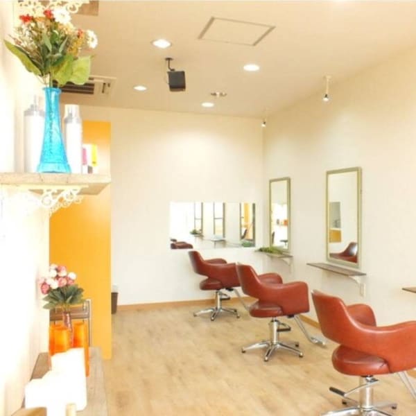 hair salon Wish