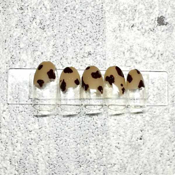 【定額】Bコース