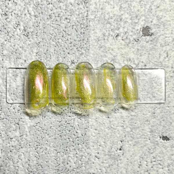 【定額】Bコース