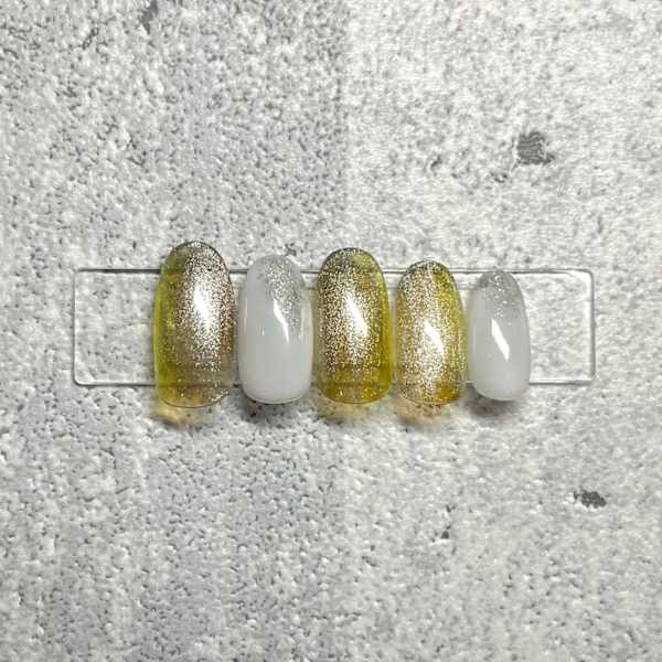 【定額】Bコース