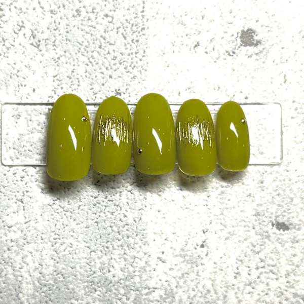 【定額】Bコース