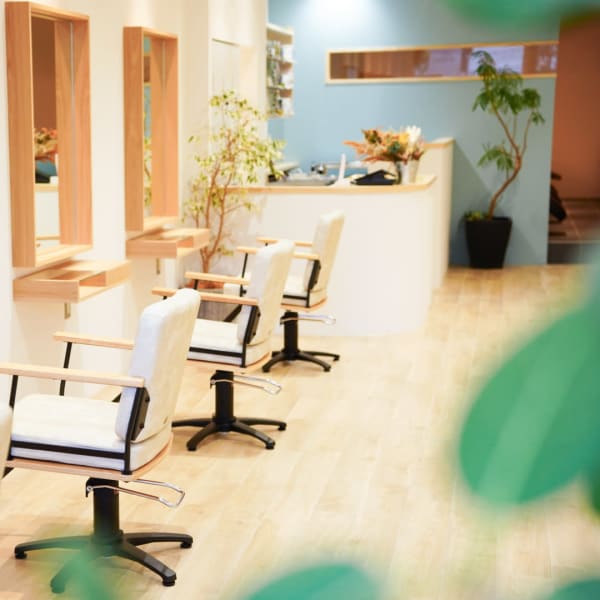 sylph 吉祥寺 【シルフ キチジョウジ】