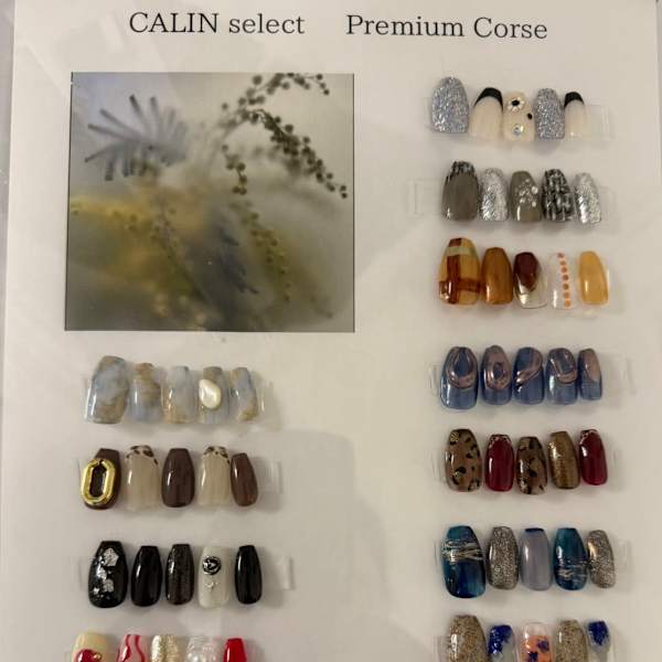 プレミアム定額コース