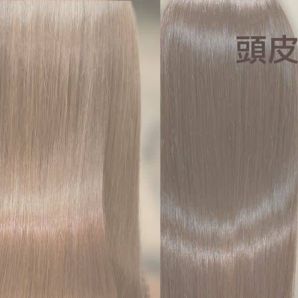 【半個室】Log hair&spa
