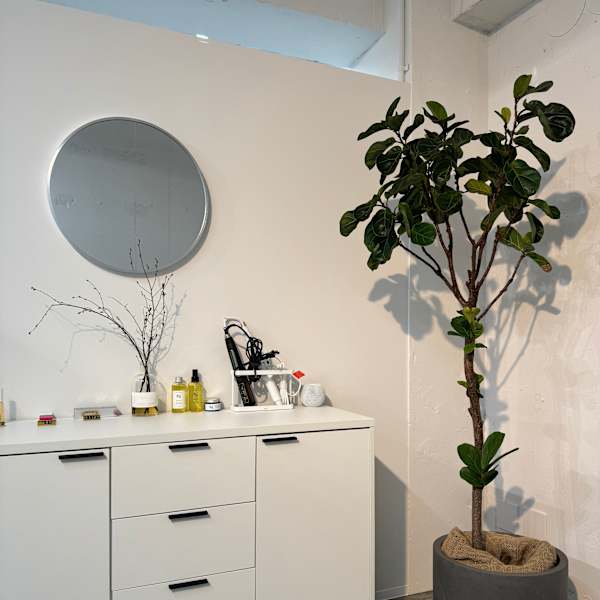 Ail eye salon Sakurajousui