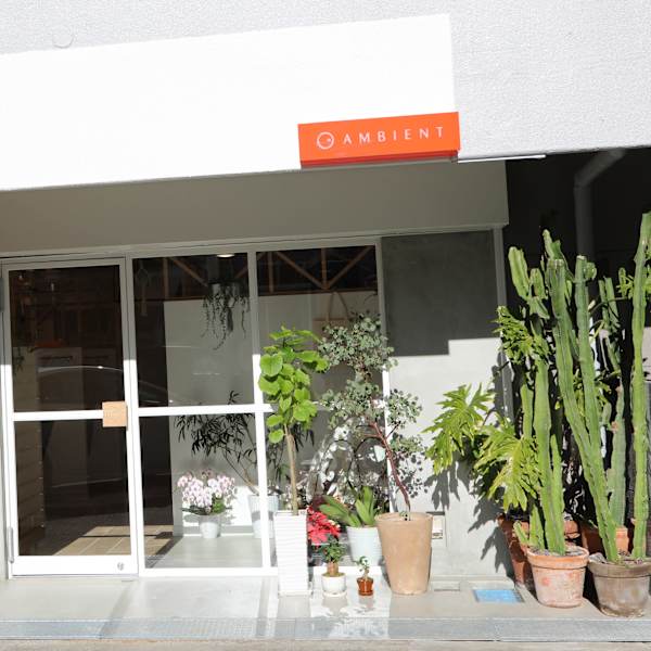 AMBIENT