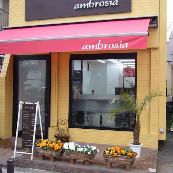 ambrosia