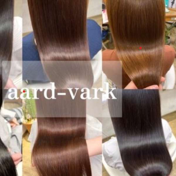 aard‐vark