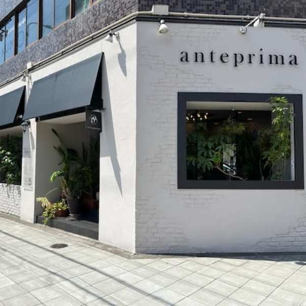 anteprima 【アンテプリマ】