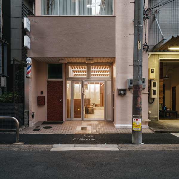 alternative【オルタナティブ】