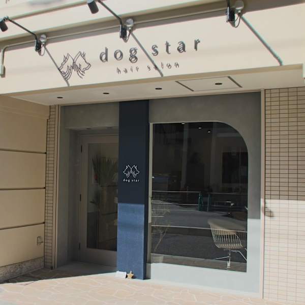 dog star