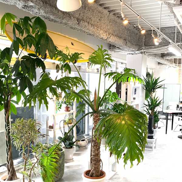 aura 佐世保店