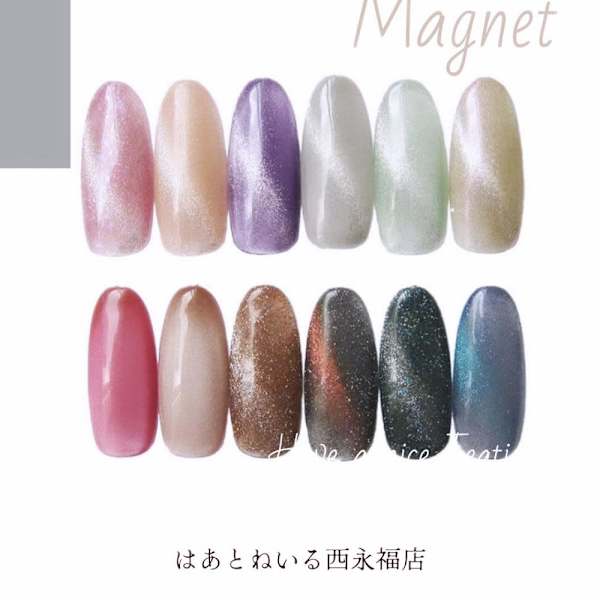 定番マグネットワンカラー¥3850