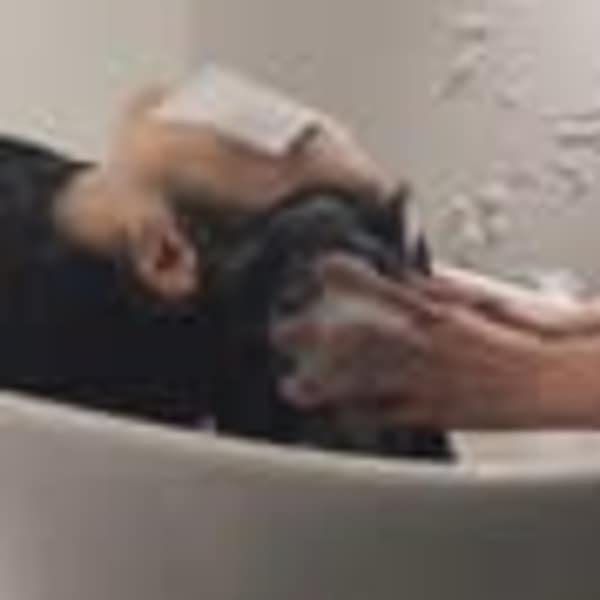 mellow hair&spa 【メロー ヘア&スパ】
