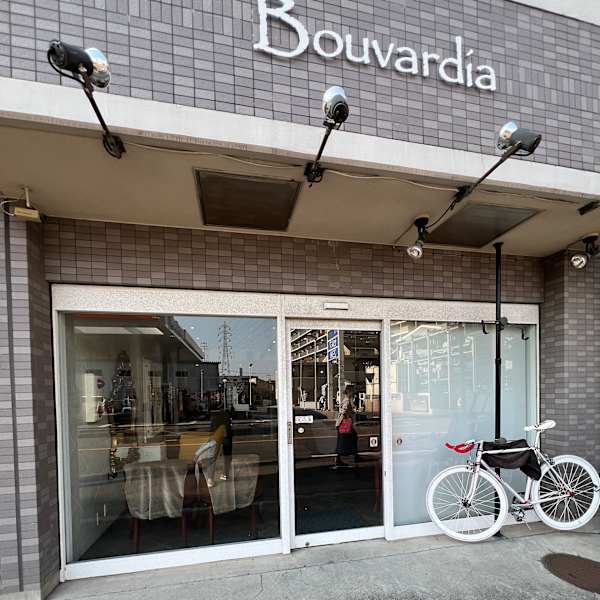 Bouvardia