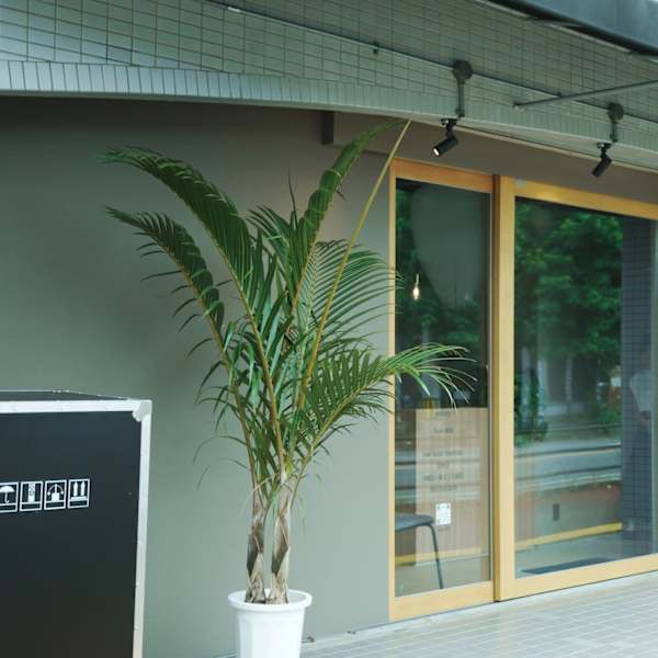 men's salon yahny